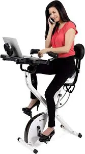 FitDesk 2.0 Exercise Bike