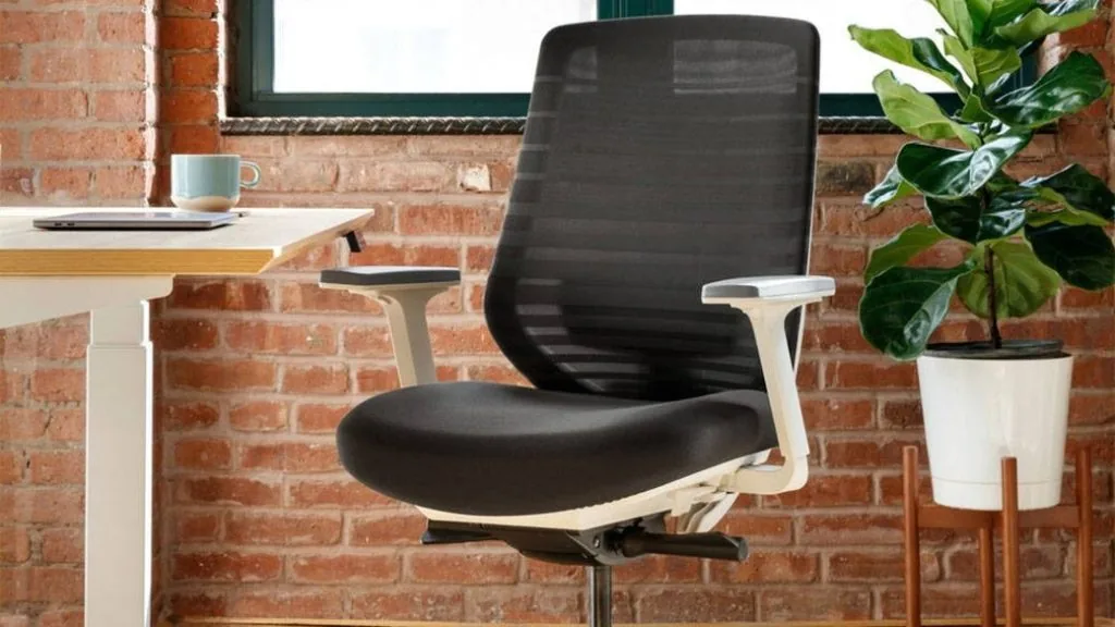 Branch Ergonomic Chair Pro
