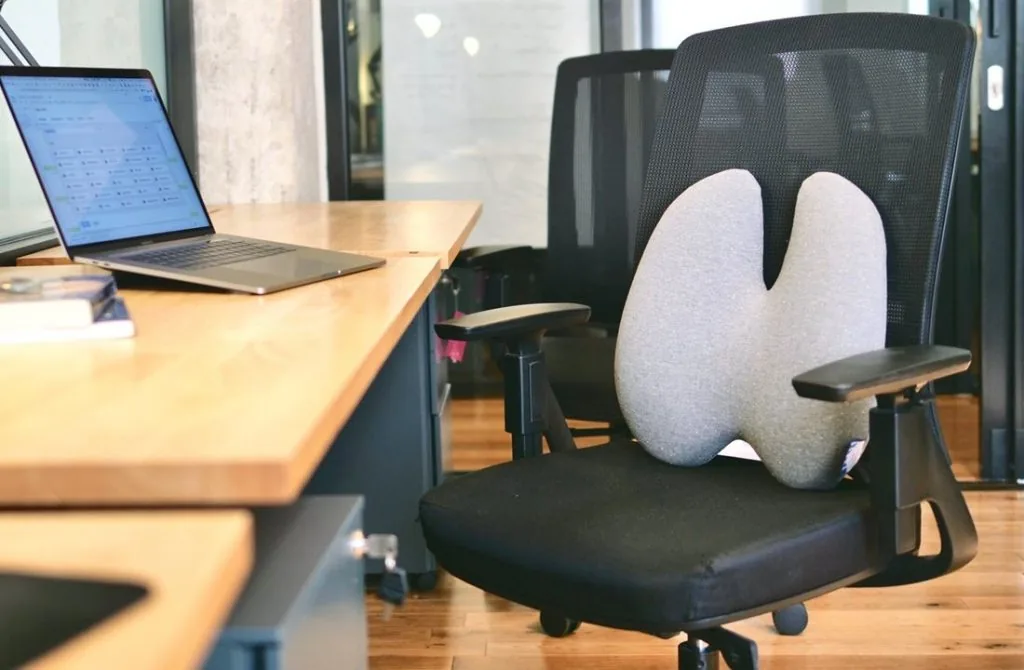 Cushion Lab Extra Dense Lumbar Pillow