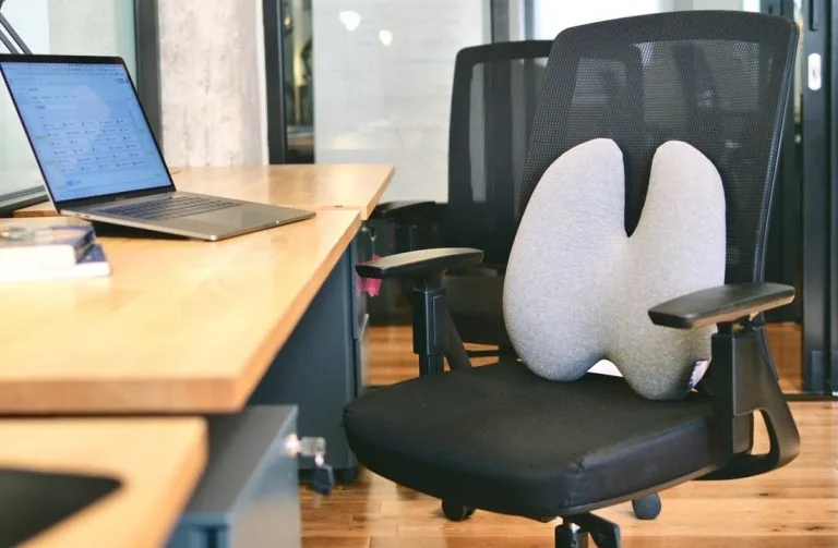 Cushion Lab Extra Dense Lumbar Pillow Review