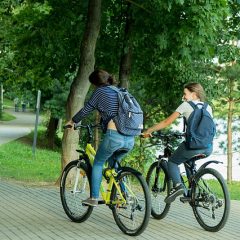 20 Reasons to Bike to Work