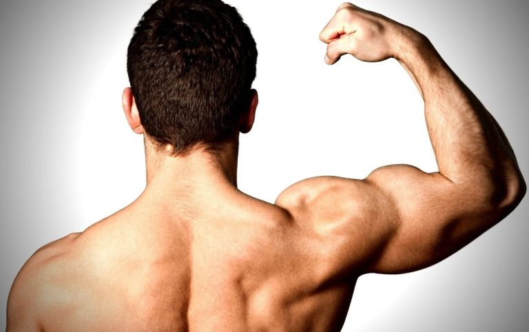 12 Home or Office Workouts for Biceps (Without Weights)