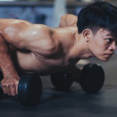 What is the Two a Day Workout Plan?
